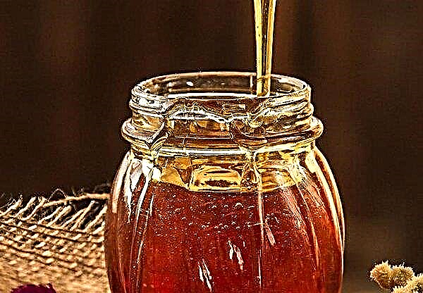 Miel d'Altaï: description et caractéristiques, goût, propriétés utiles et contre-indications possibles à l'utilisation, photo