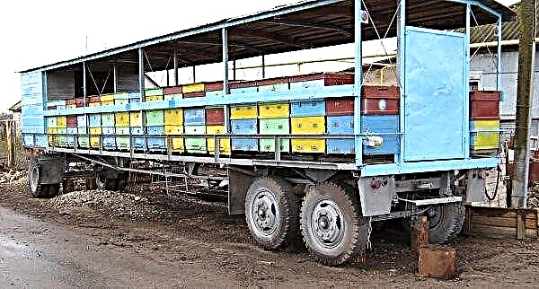 Trailer for transporting bees: pros and cons, features, varieties, photos