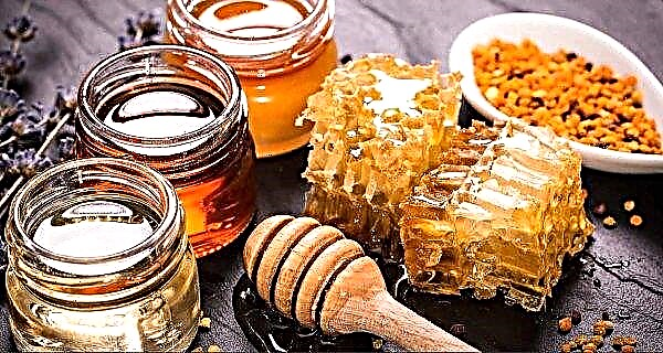 子供と大人の免疫力を高める養蜂製品：利点と起こりうる害