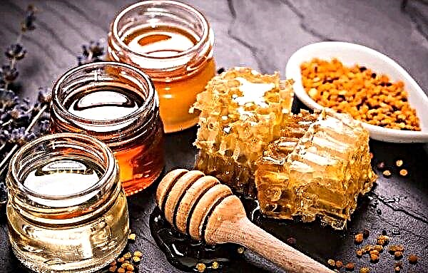 Why honey is not sugared: storage features, types and characteristics of the product