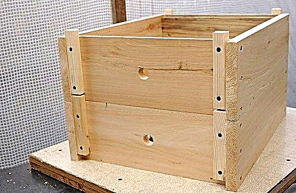 Horned beehive: how to do it yourself, structural features, drawings, photos, videos