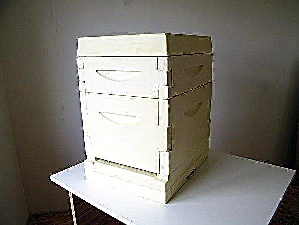 Polyurethane foam hives: step-by-step DIY instructions, drawings, videos