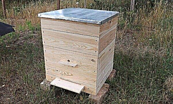 10-frame hive: description and characteristics, advantages and disadvantages, use, video