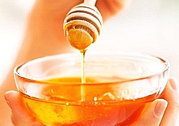 Träsked för honung: vad kallas, varför den här formen, varför du behöver den, foto