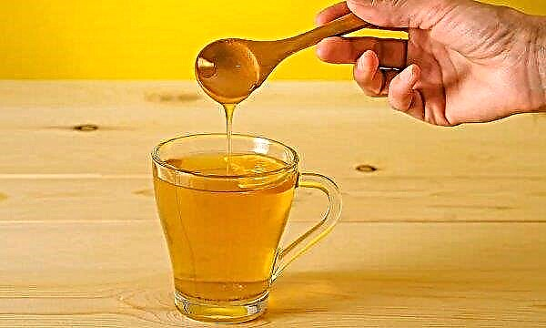 금식 아침 꿀 : 복용 방법, 규칙, 혜택 및 피해, 금기 사항