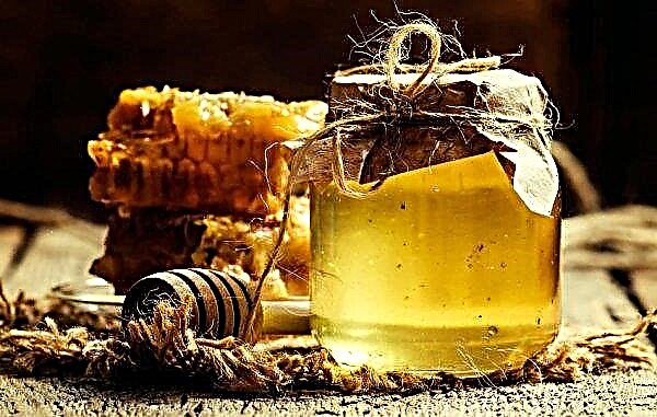 Липов мед: полезни свойства и противопоказания, евентуална вреда, описание, как изглежда, снимка
