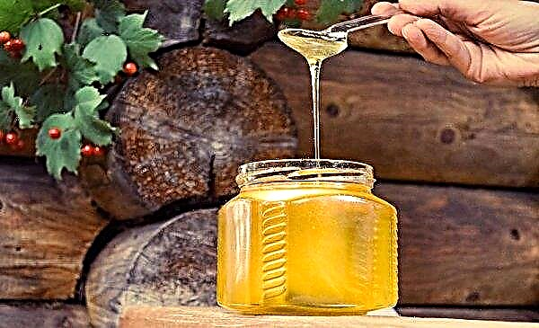 ベニバナ蜂蜜：説明、構成、有用な特性、禁忌