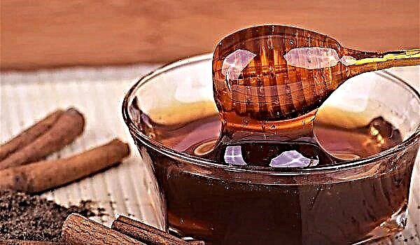 Cannelle au miel: avantages et inconvénients, indications et contre-indications d'utilisation, comment boire