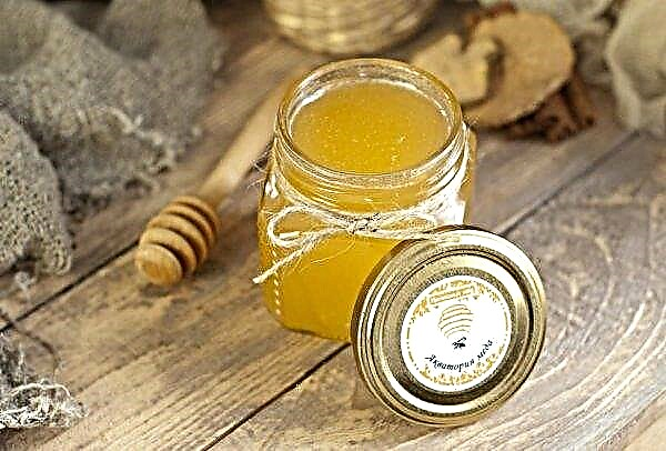Acacia honey: useful properties and contraindications, possible harm, description, taste, color, how to distinguish from a fake and check the naturalness, photo