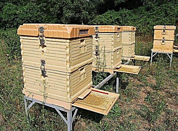 New in beekeeping: technologies and techniques, video