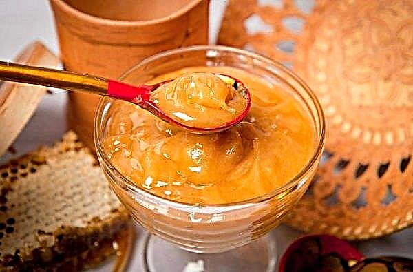 Honey with bee bread: description and preparation, useful properties and contraindications, how to take, photo, video