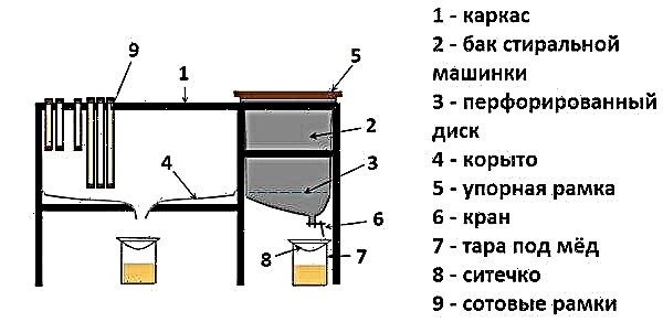 Таблица за отпечатване на пчелни пити със собствените си ръце: за какво е предназначена, видове маси, как да направите