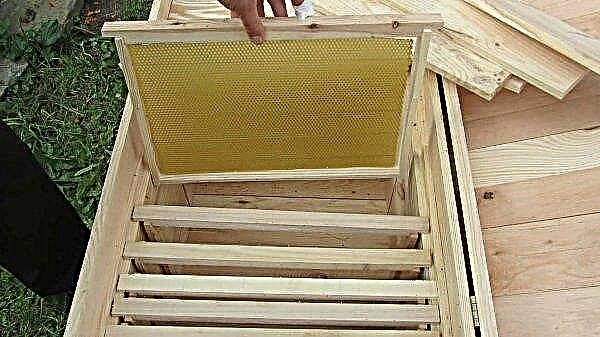 Marcos para colmenas de abejas: cómo elegir tamaños y hacerlo usted mismo, opciones de ubicación, fotos