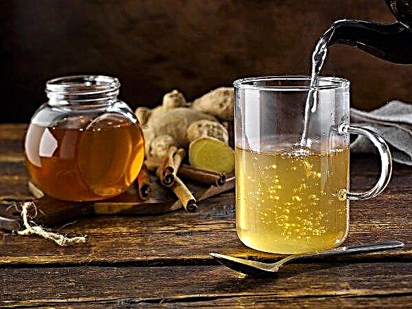 Agua con miel por la mañana con el estómago vacío: beneficios y daños, pros y contras, efectos en el cuerpo