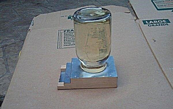 Bee feeders: how to make a do-it-yourself feeder, mounting methods, photos, videos