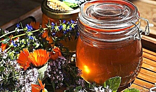Forbs honning: beskrivelse og sorter, nyttige egenskaber og kontraindikationer, mulig skade, kalorieindhold, foto