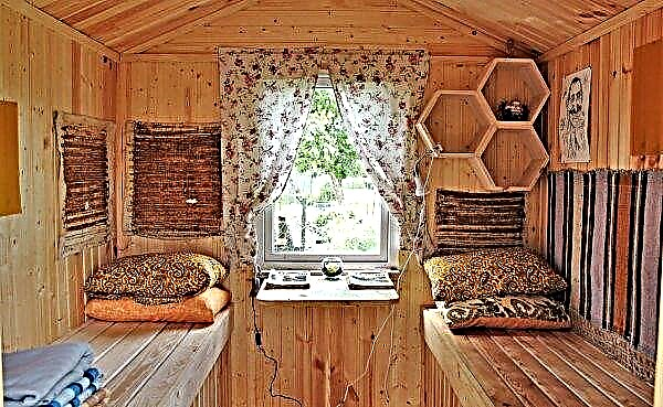 Sleep in the hives: treatment features, the construction of houses, photos, video