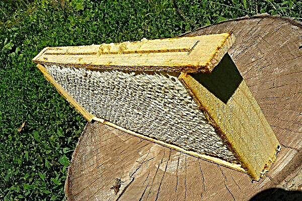 Ruche à faire soi-même "Boa constrictor": dessins et dimensions, technologie de fabrication, apiculture