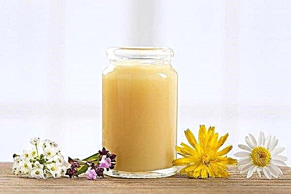 Royal jelly: beneficial properties for women, how to take, contraindications