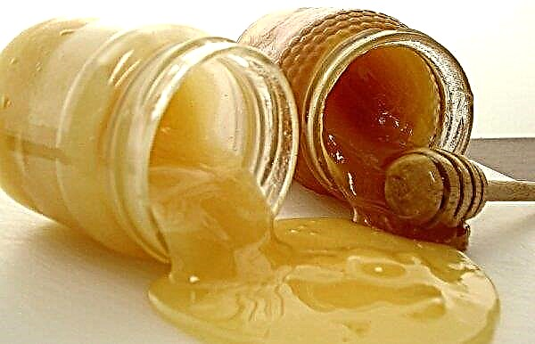How to check honey for sugar at home: effective methods, video