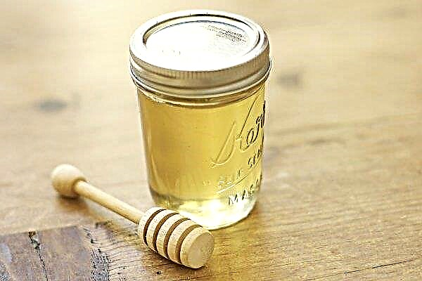 Melilot-honing: voordelen en nadelen, kenmerken, gebruik, foto
