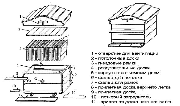 8-frame beehive: content technology, drawing and dimensions, pros and cons