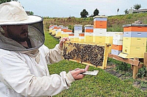 Canadian beekeeping: bee keeping technology, beehive species, beekeeping methods