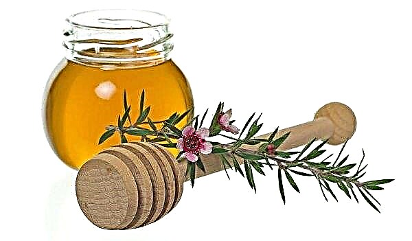 Мед от манука: описание и характеристики на меда, методи на приложение и полезни свойства