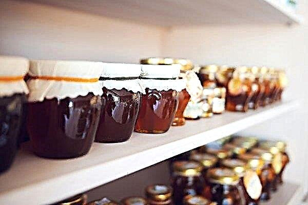 Diastaasimäärä hunajaa: mikä luonnehtii ja miten se määritetään?