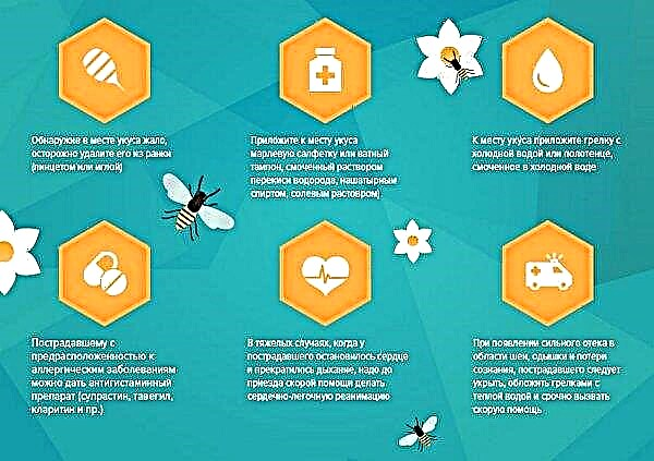 Apa kegunaan sengatan lebah, bahaya racun lebah, apitherapy, penggunaan dalam perubatan