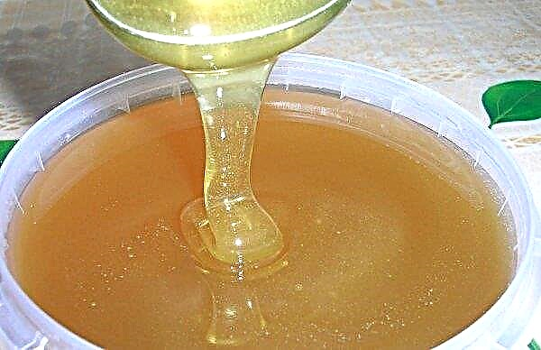 Μέλι από το Bashkiria: ιδιότητες, χαρακτηριστικά και σύνθεση, φωτογραφία