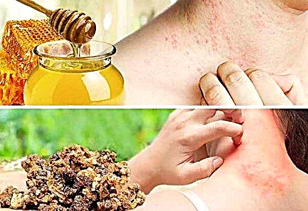 Propolis on water at home: what diseases heals, contraindications