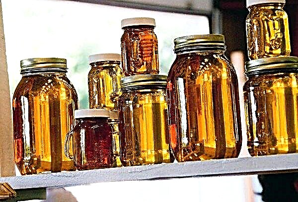 Vieux miel: que faire, que cuisiner, règles et normes d'utilisation