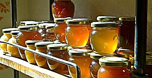 น้ำผึ้งชนิดใดที่มีประโยชน์มากที่สุดสำหรับผู้ชายและผู้หญิง: พันธุ์ที่ดีที่สุดและอร่อยที่สุดสารที่มีประโยชน์