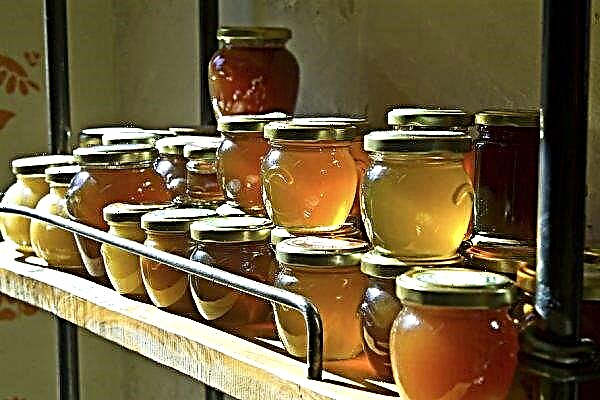 Poppy honey: manfaat dan bahaya, indikasi dan kontraindikasi untuk penggunaan, komposisi, karakteristik dan deskripsi dengan foto