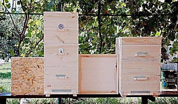 Formen zur Herstellung von Bienenstöcken aus Polyurethanschaum zu Hause: Zeichnungen, Kosten, Schritt-für-Schritt-Anleitung