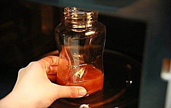 Πώς να λιώσετε το μέλι σε υδατόλουτρο: είναι δυνατόν και πώς να κάνετε σωστά ένα λουτρό νερού στο σπίτι, βίντεο