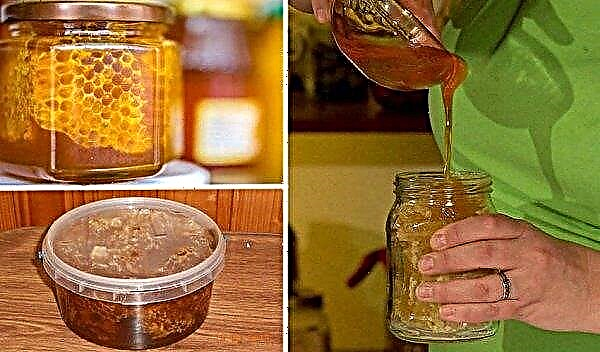 So erhalten Sie Honig aus Waben: So trennen Sie Honig zu Hause manuell mit einem Honigextraktor von Waben