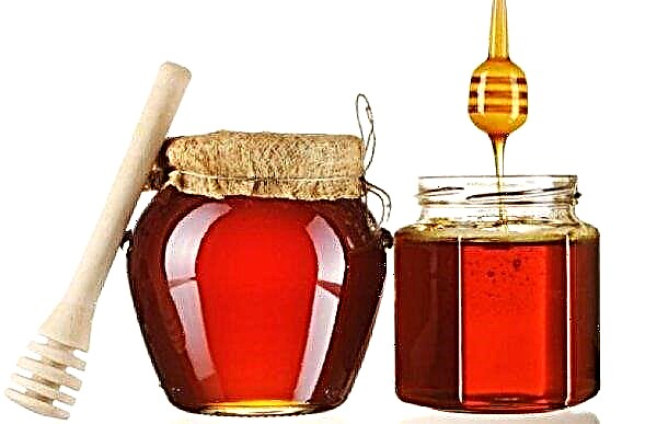 Honey from hawthorn - useful properties and contraindications, composition