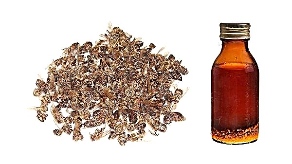 Tinktura alkohola iz čebeljih subpestilenc: značilnosti uporabe, kontraindikacije