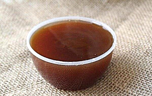 Buckwheat honey: useful properties and contraindications, possible harm, calorie content, description, how it looks, photo