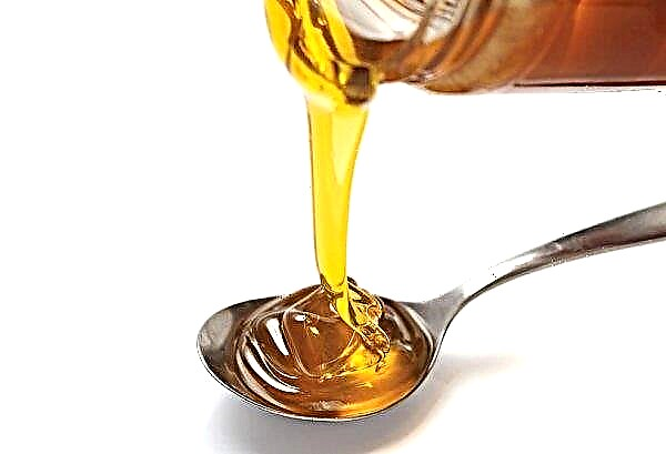 كم غرام من العسل في ملعقة كبيرة وملعقة صغيرة: كم ملعقة في 250 و 100 و 50 جرامًا من العسل ومحتوى السعرات الحرارية