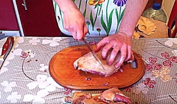 Como cortar um ganso em porções em casa: como martelar e beliscar corretamente, instruções passo a passo, vídeo