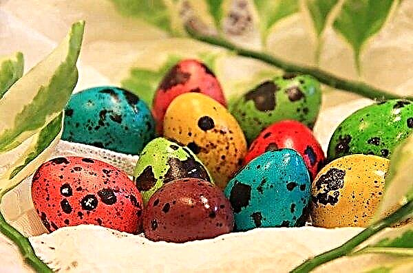 Kuidas lihavõttepühadeks mune ilusti värvida, tehke seda ise fotode ja videote abil