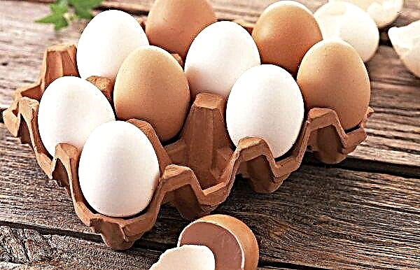 Πόσα αυγά κοτόπουλου αποθηκεύονται στο ψυγείο και σε θερμοκρασία δωματίου