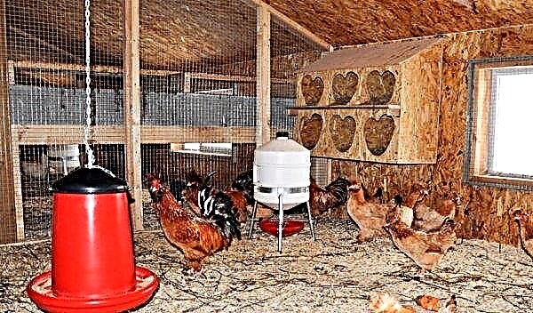 Poulailler d'hiver à faire soi-même pour 10, 20, 30, 50, 100 poules avec une gamme: options de projet, tailles, dessins, photos