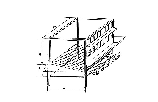 Cages for quail: how to do it yourself at home, drawings, sizes, the best options from the manufacturer, photos, videos