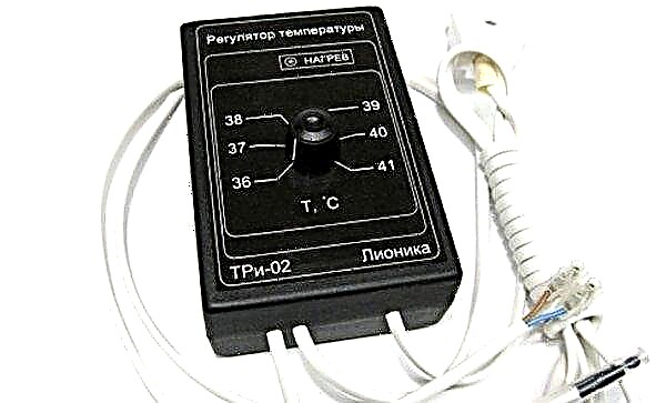 Temperatur in einem Inkubator für Hühnereier: Lesezeichen, Schlupf, Abschluss, Tabelle