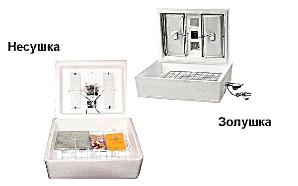 Incubadora doméstica Layer BI-1, 2 con volteo automático de 36, 63, 77, 104 huevos: instrucciones de uso, temperatura, humedad, video, diagrama