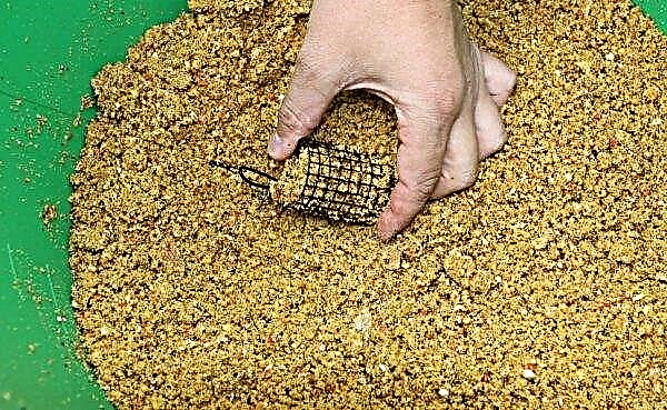 Cara memasak millet untuk memancing ikan bilis di feeder: cara memasak millet untuk umpan, resipi untuk memancing musim luruh dan musim bunga